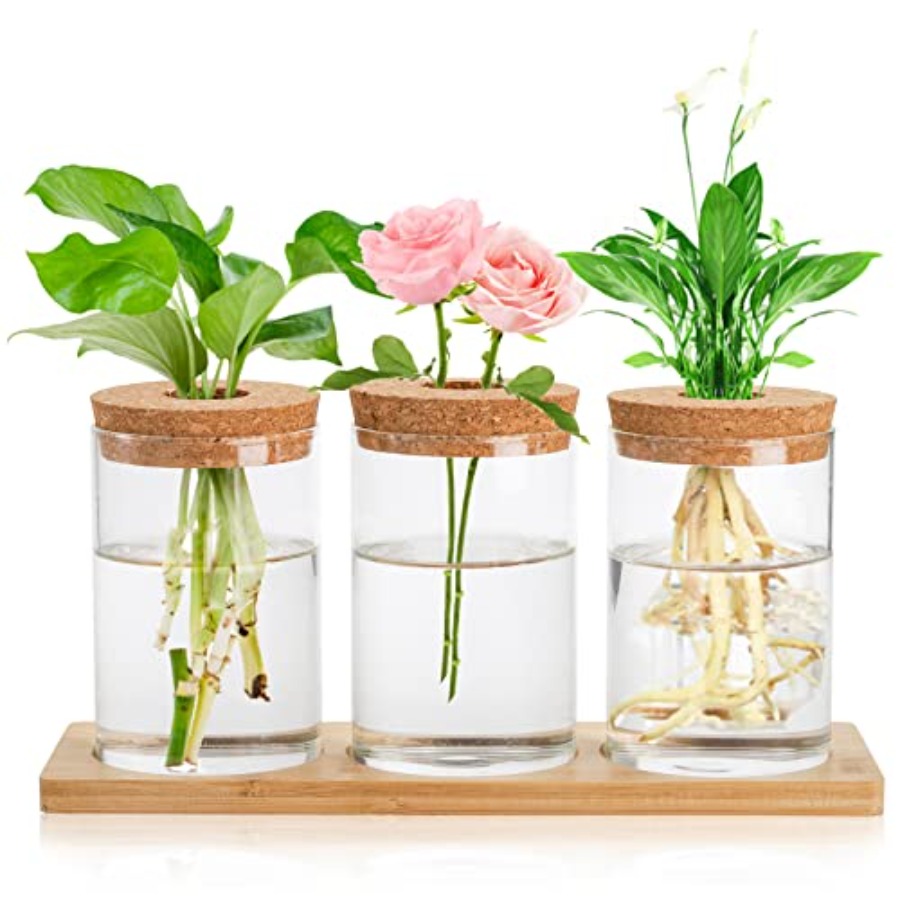 3 Pcs Plant Terrarium Propagat – обзор и цена Propagation Station Vase