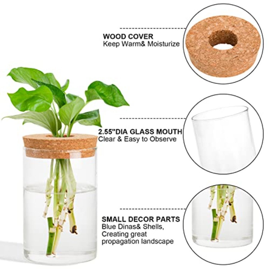 3 Pcs Plant Terrarium Propagat – обзор и цена Propagation Station Vase