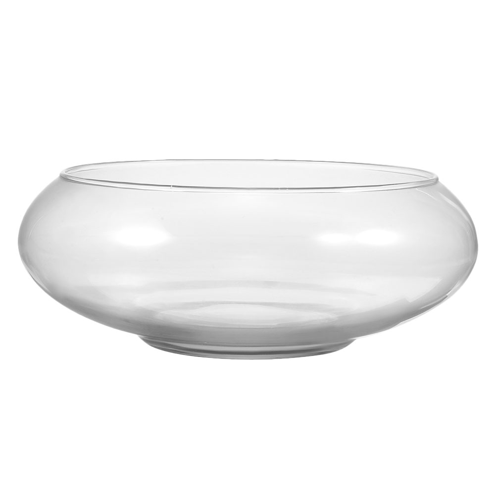 Wide Mouth Glass Vase Narcissu – обзор и цена Propagation Station Vase