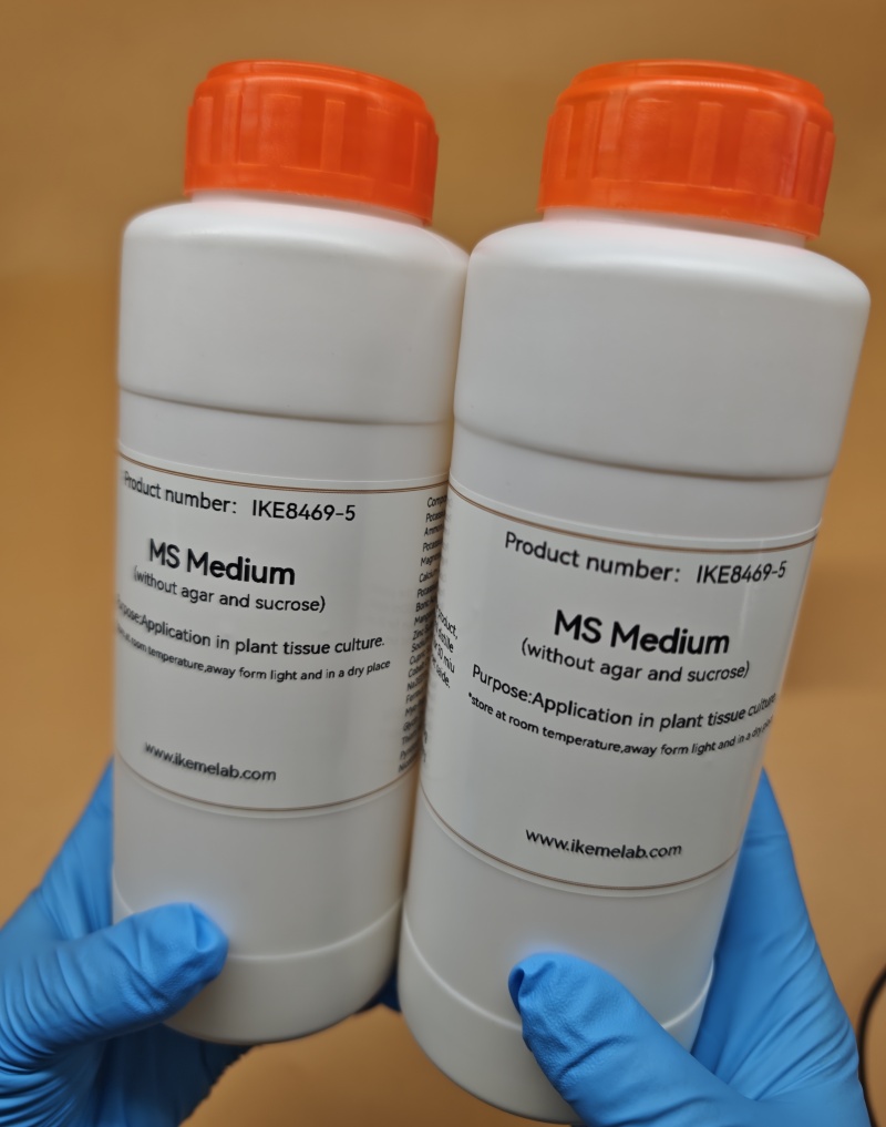IKEME 250g Lab MS Medium Witho – обзор и цена Agar Tissue Culture