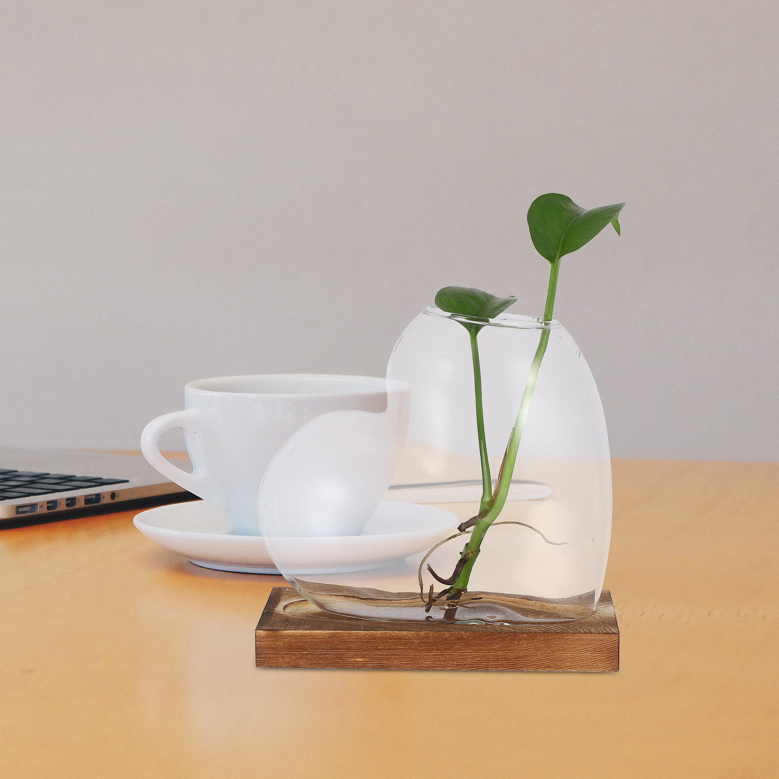Creative Hydroponic Vase Trans – обзор и цена Propagation Station Vase