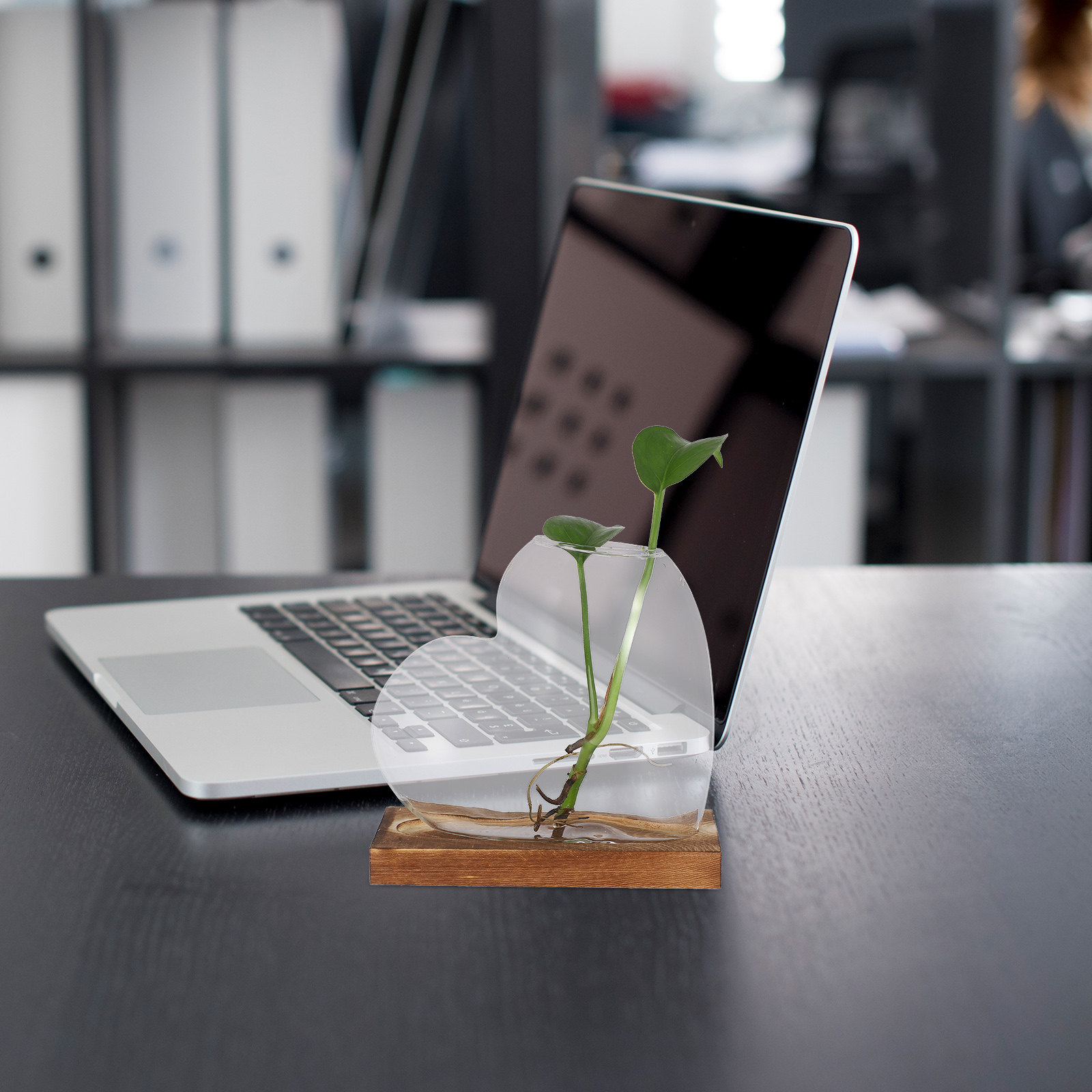 Creative Hydroponic Vase Trans – обзор и цена Propagation Station Vase