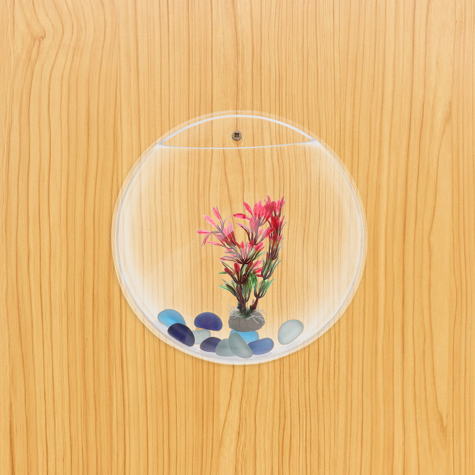 1Set Wall-Mounted Fish Tank 23 – обзор и цена Propagation Station Vase