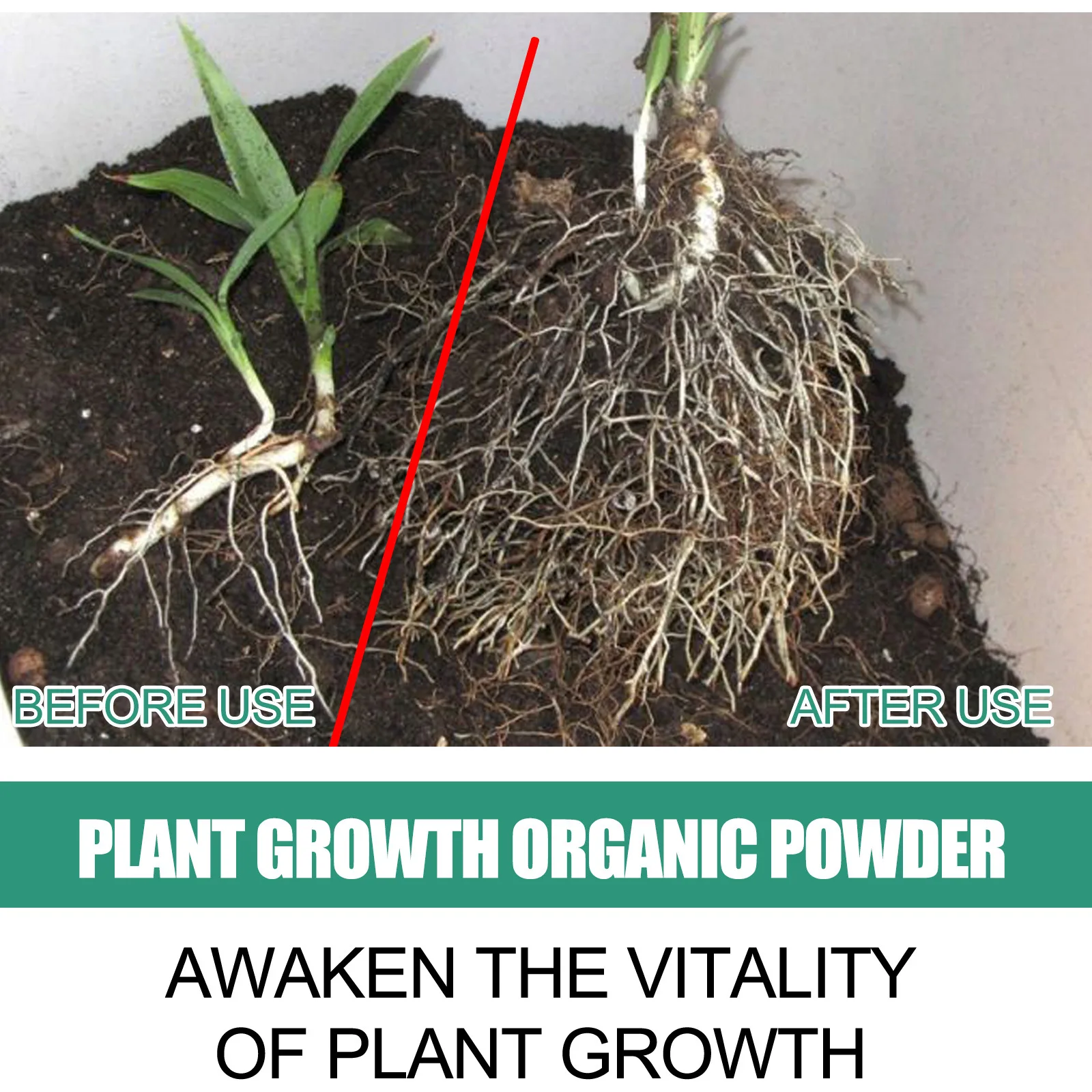 Fast Rooting Powder Plant Soil – обзор и цена Rooting Hormone Powder