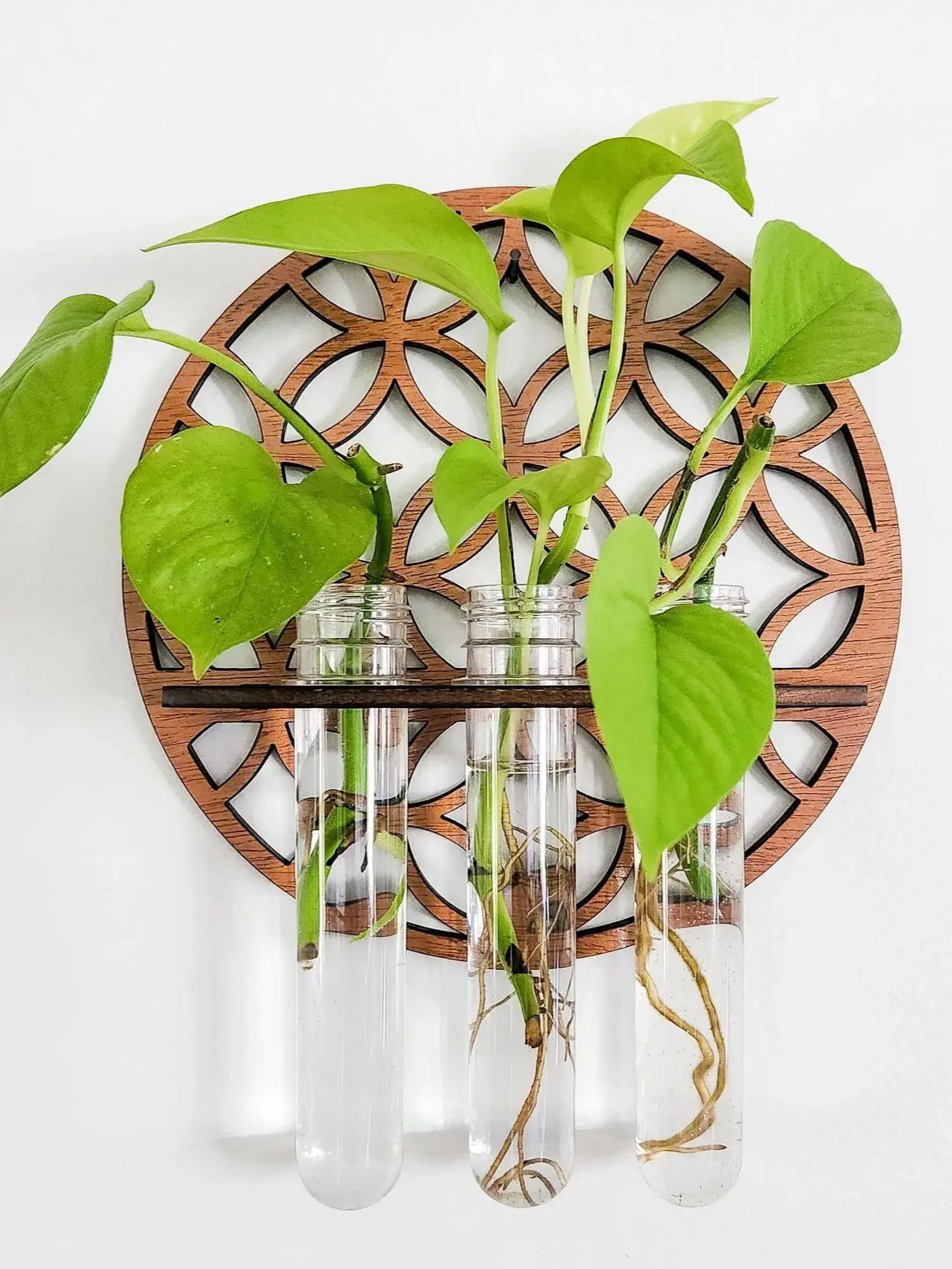 Garden Wall Planters Indoor Wo – обзор и цена Propagation Station Vase