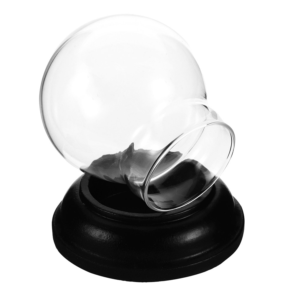 Empty Fillable Glass Snow Glob – обзор и цена Plastic Dome Clear