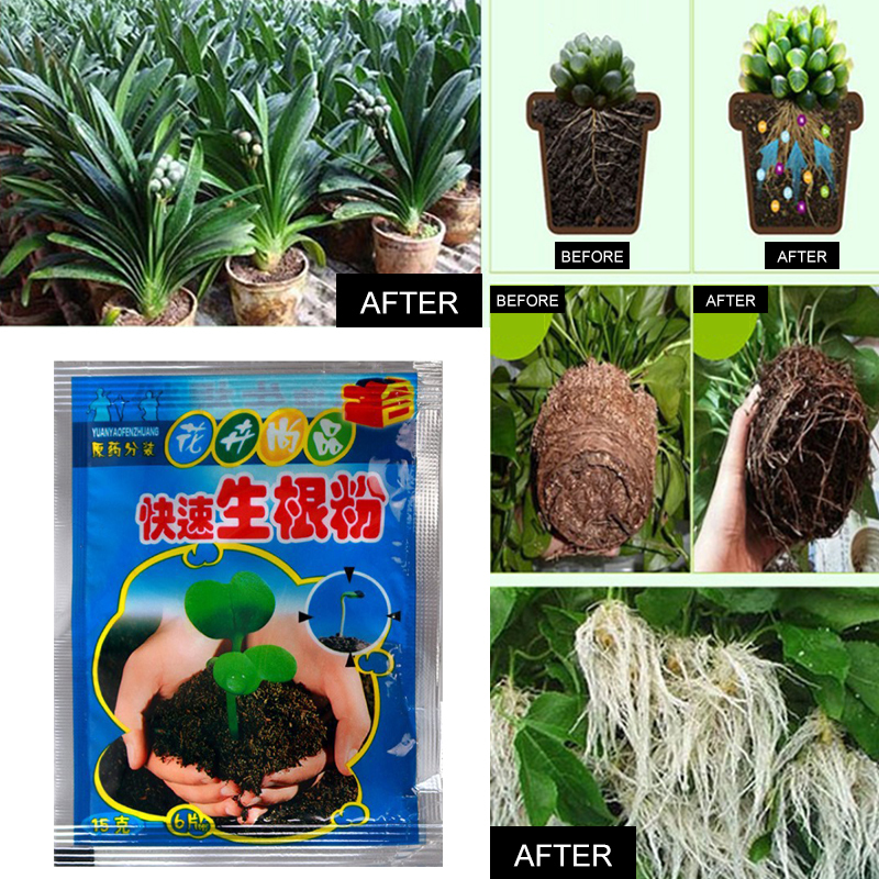 5pcs Fast Rooting Powder Plant – обзор и цена Rooting Hormone Powder