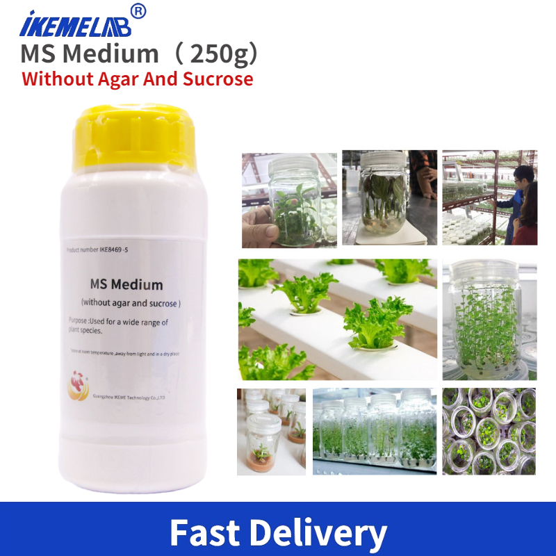 IKEME Lab MS Medium 250g Witho – обзор и цена Agar Tissue Culture
