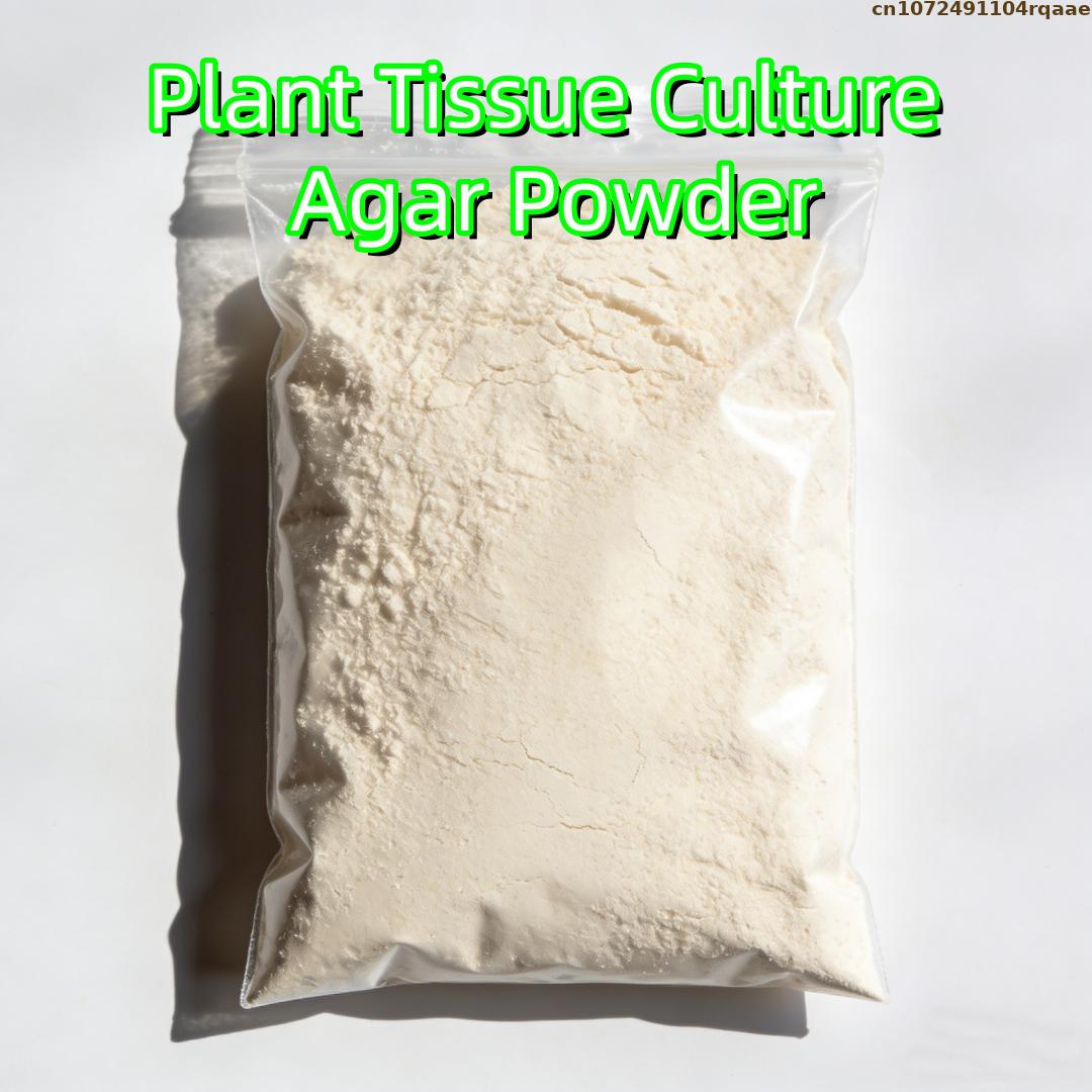 Premium Plant Tissue Culture A – обзор и цена Agar Tissue Culture