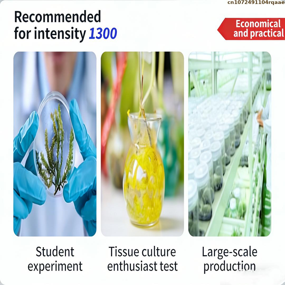 Premium Plant Tissue Culture A – обзор и цена Agar Tissue Culture
