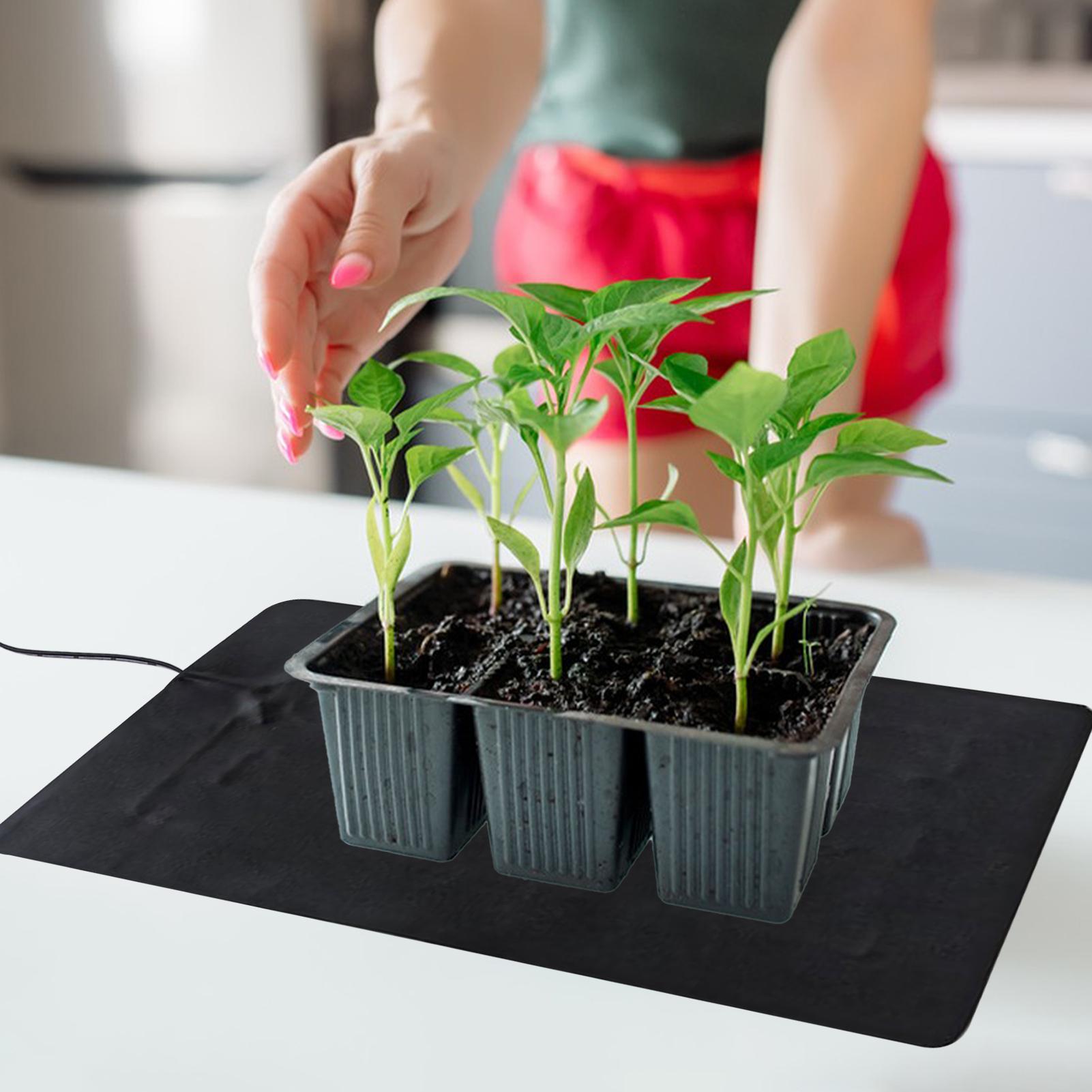 3 Temperature Adjustable Plant – обзор и цена Heat Mat Seedling