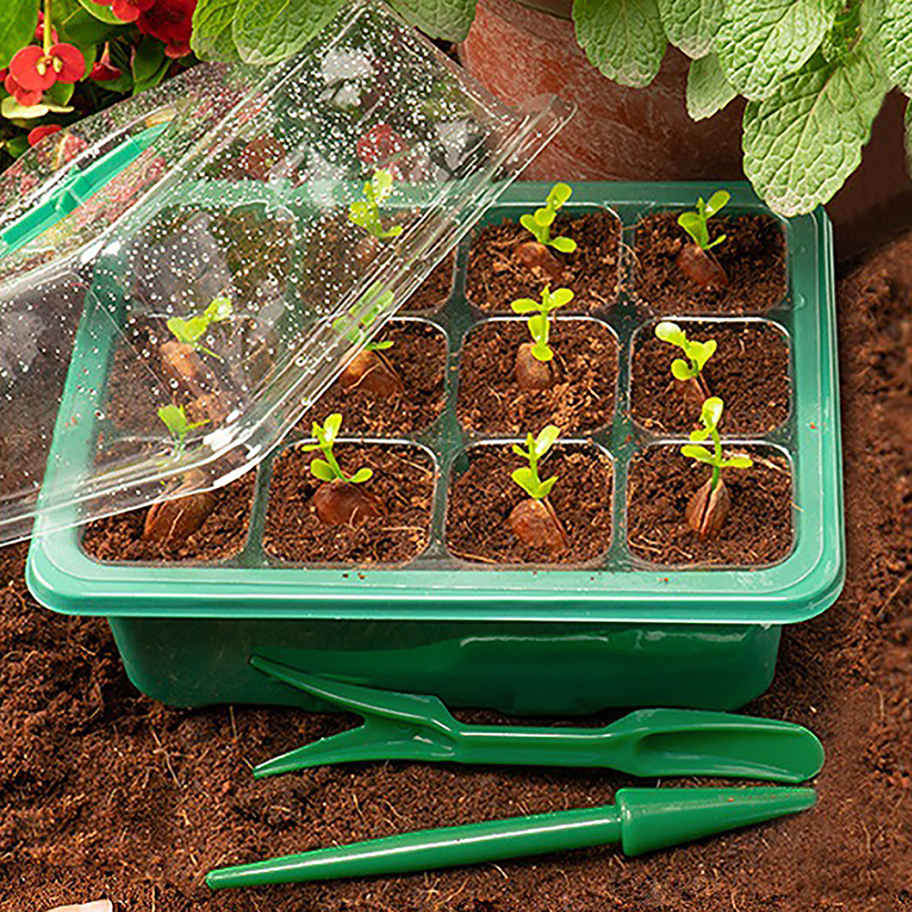 Seed Starter Trays with Grow L – обзор и цена Humidity Dome Kit