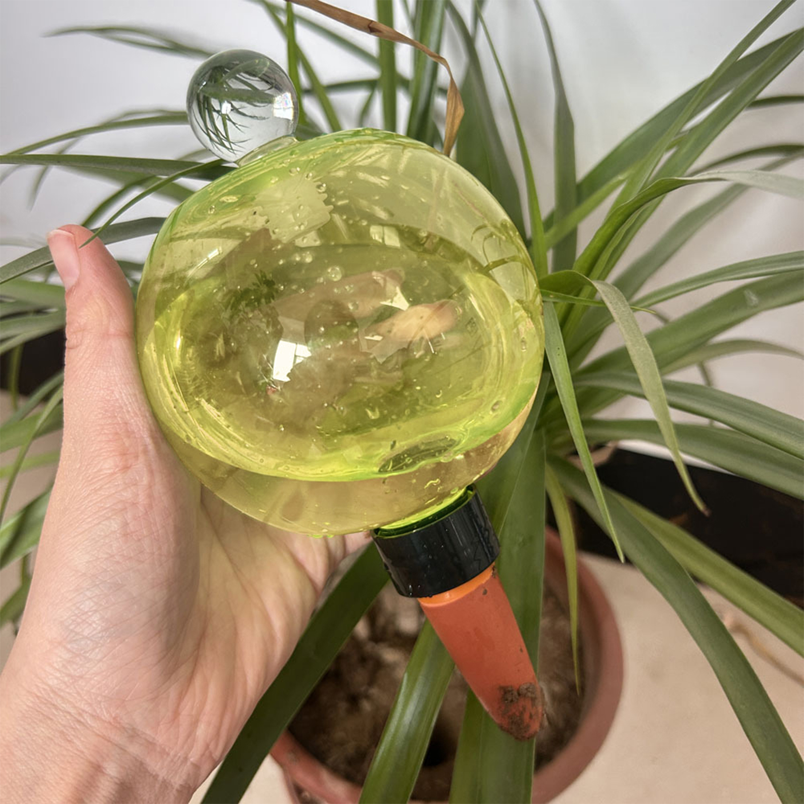 Self Watering Planter Insert T – обзор и цена Self Watering Insert