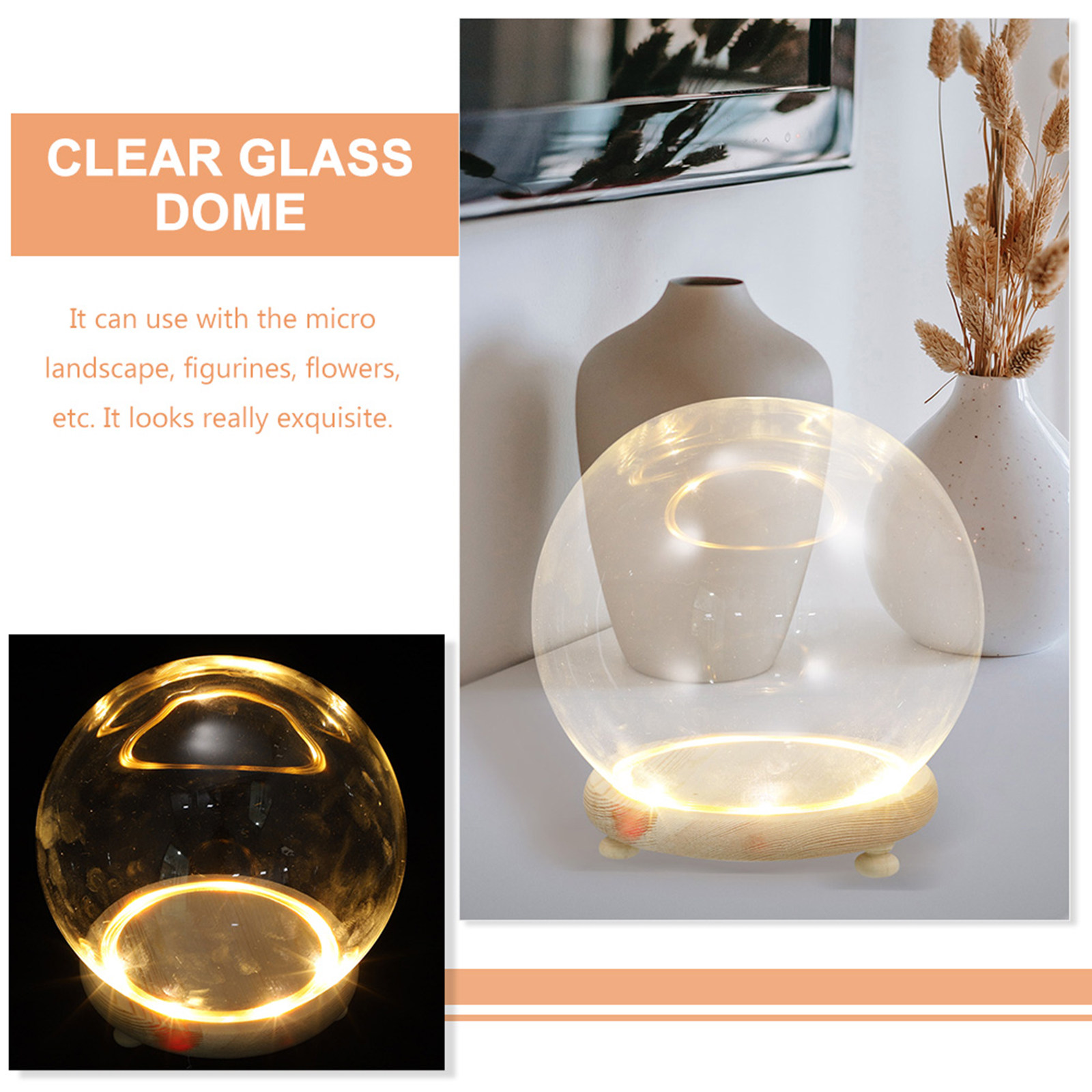 Luminous Preserved Flower Glas – обзор и цена Plastic Dome Clear