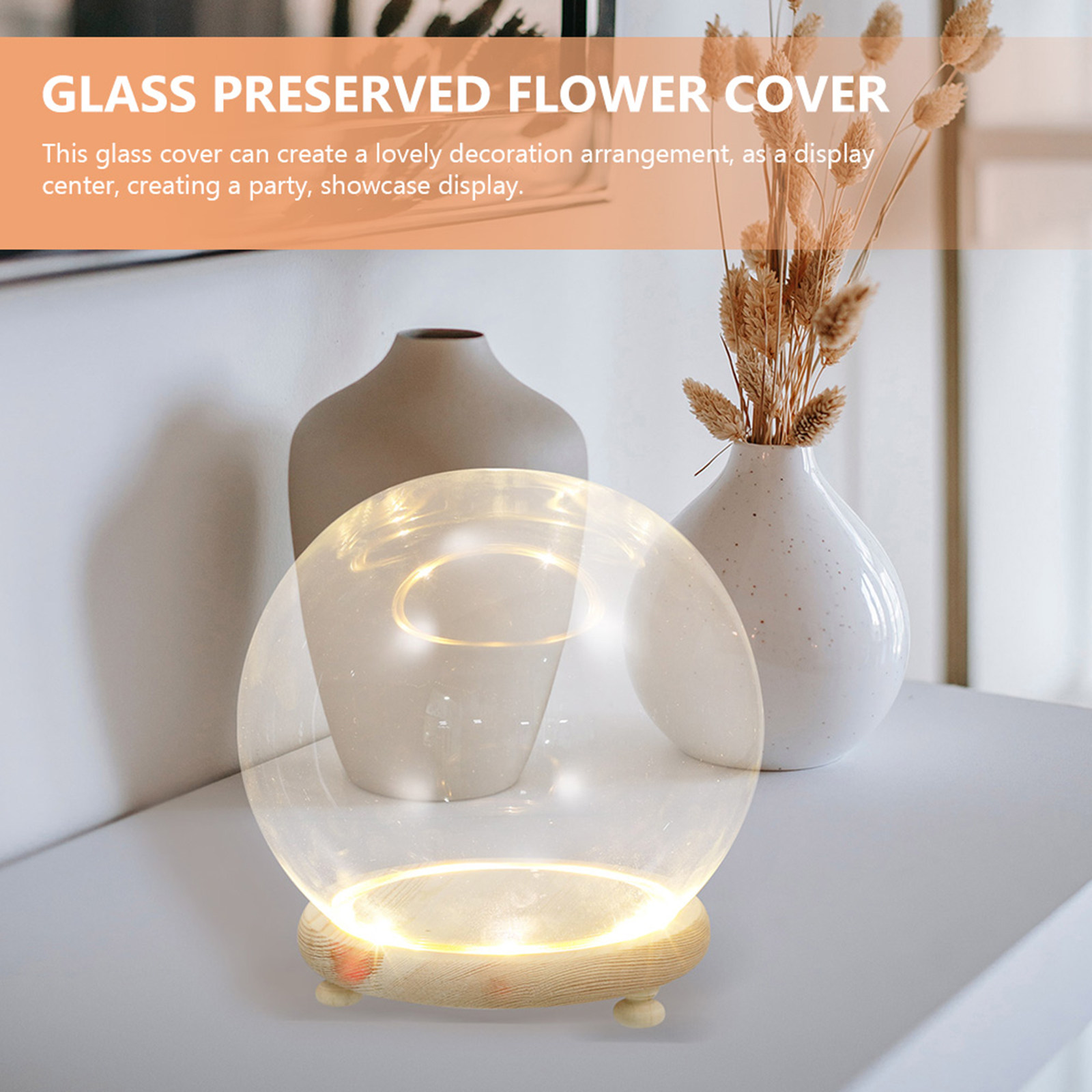 Luminous Preserved Flower Glas – обзор и цена Plastic Dome Clear