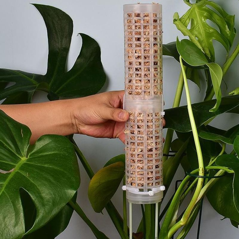 Plastics Moss Pole Plastics St – обзор и цена Sphagnum Moss Dry