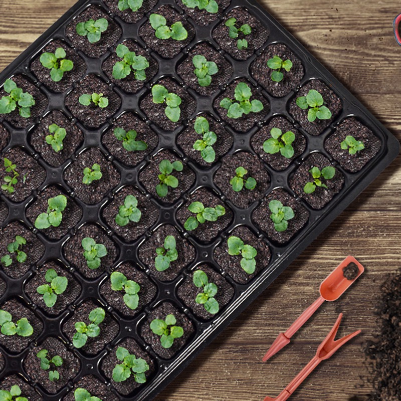 ABGH-10 Pack Seed Starter Tray – обзор и цена Propagation Tray 72