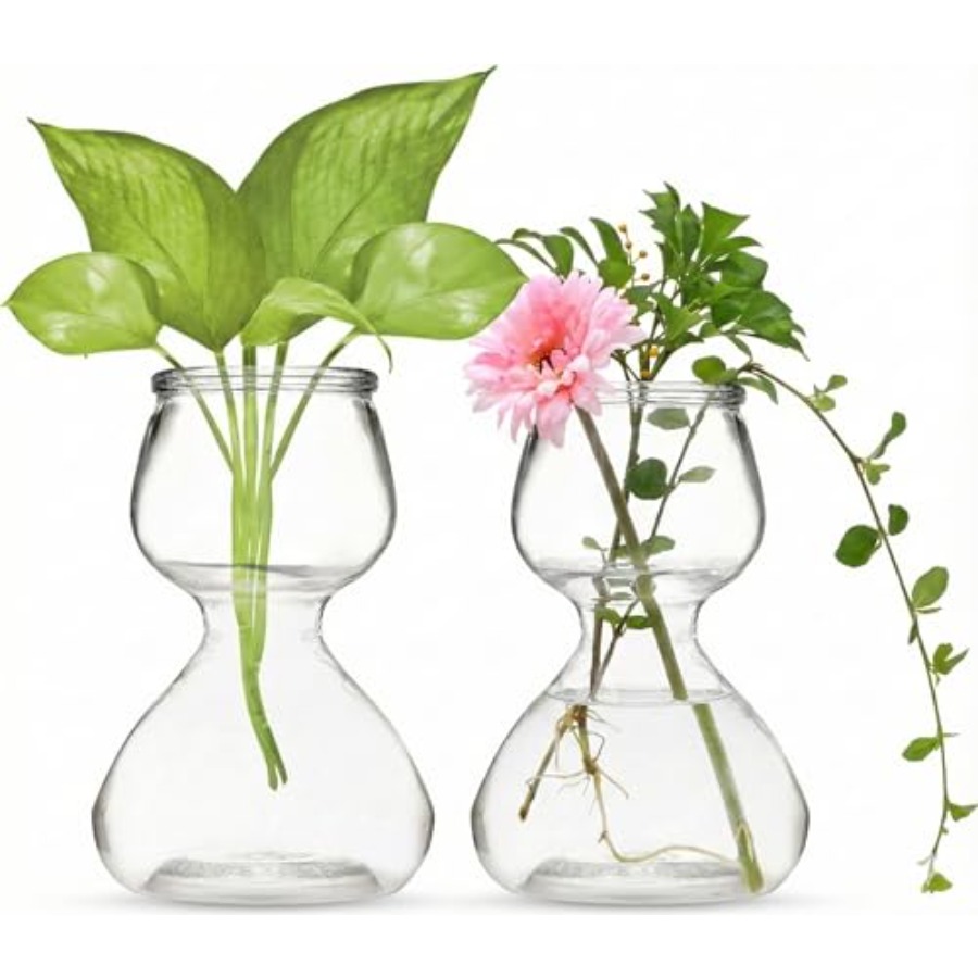Garden Guru Plant Propagation  – обзор и цена Propagation Station Vase