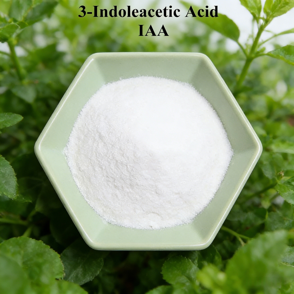 3-indoleacetic Acid IAA Auxina – обзор и цена Rooting Hormone Powder