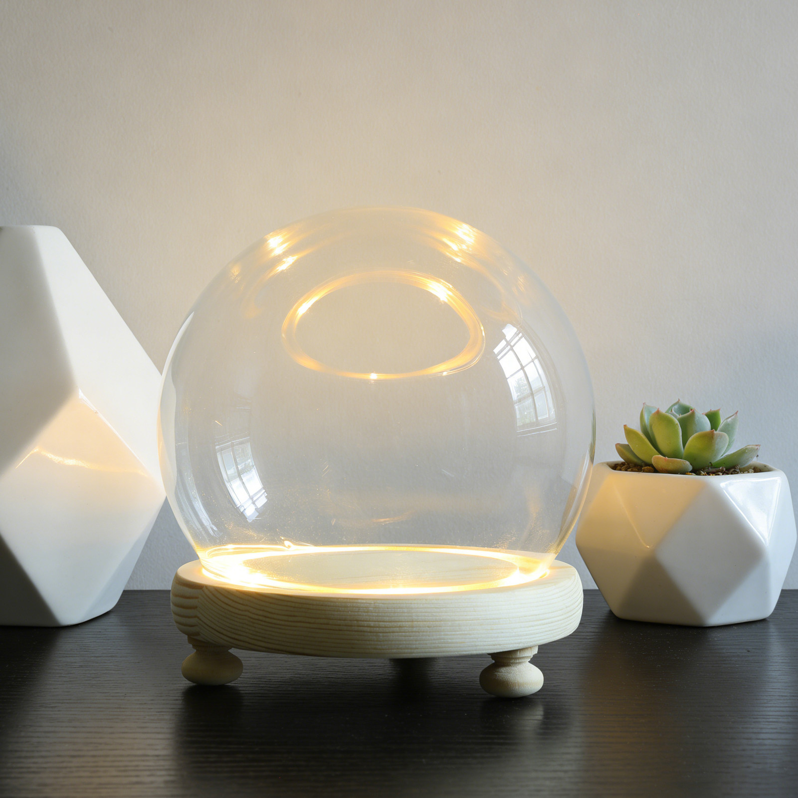 Preserved Flower Glass Dome El – обзор и цена Plastic Dome Clear