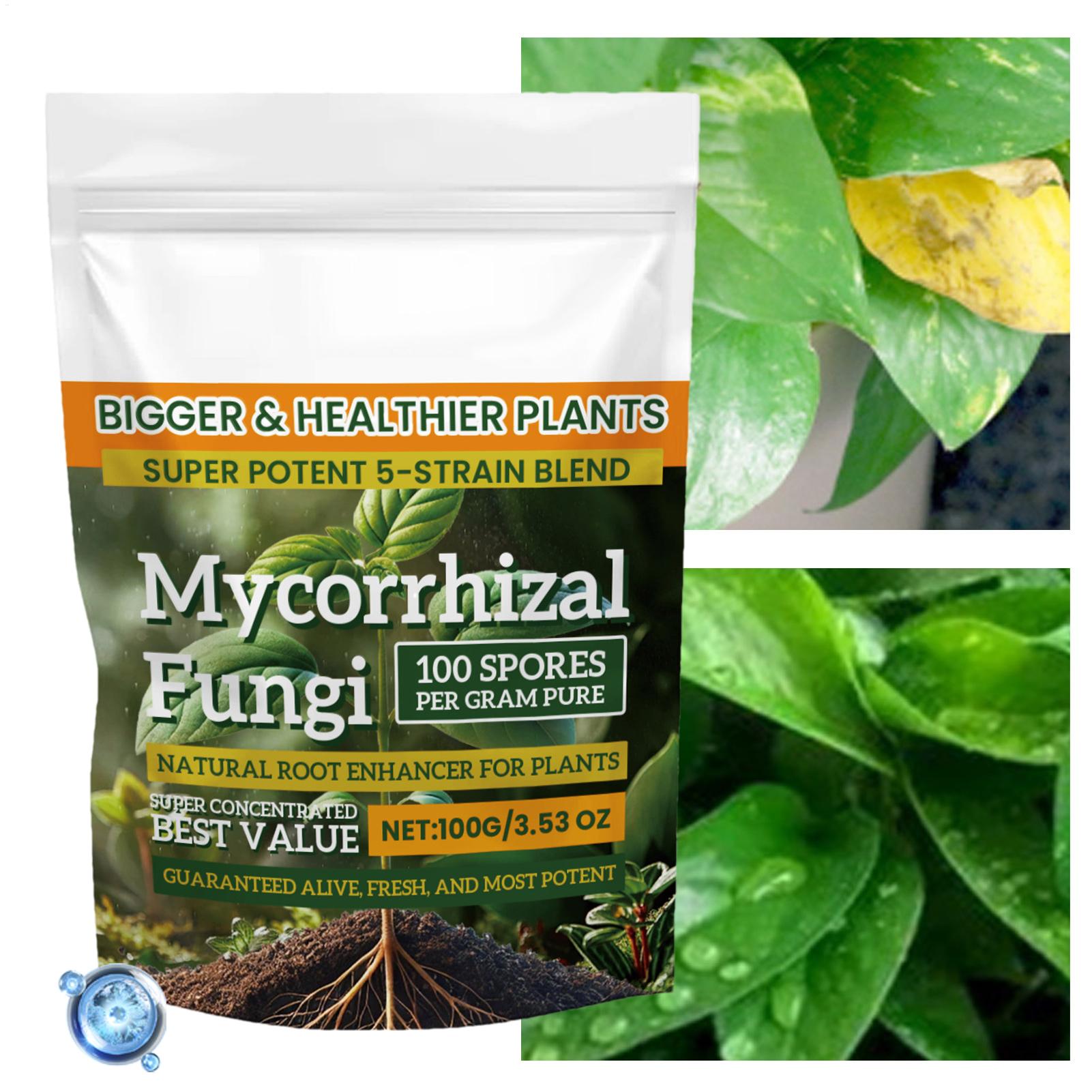 Plant Growth Enhancer Powder 1 – обзор и цена Rooting Hormone Powder