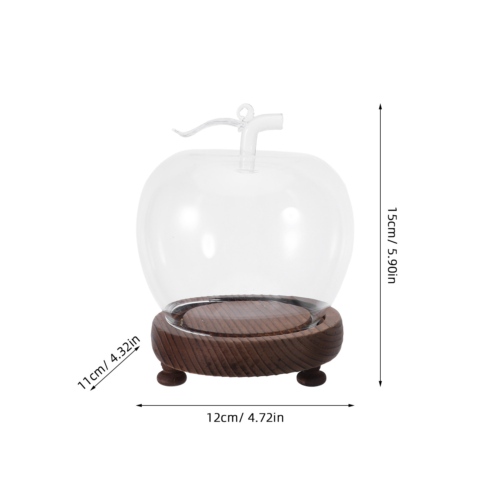Clear Glass Dome Cloche Decora – обзор и цена Plastic Dome Clear