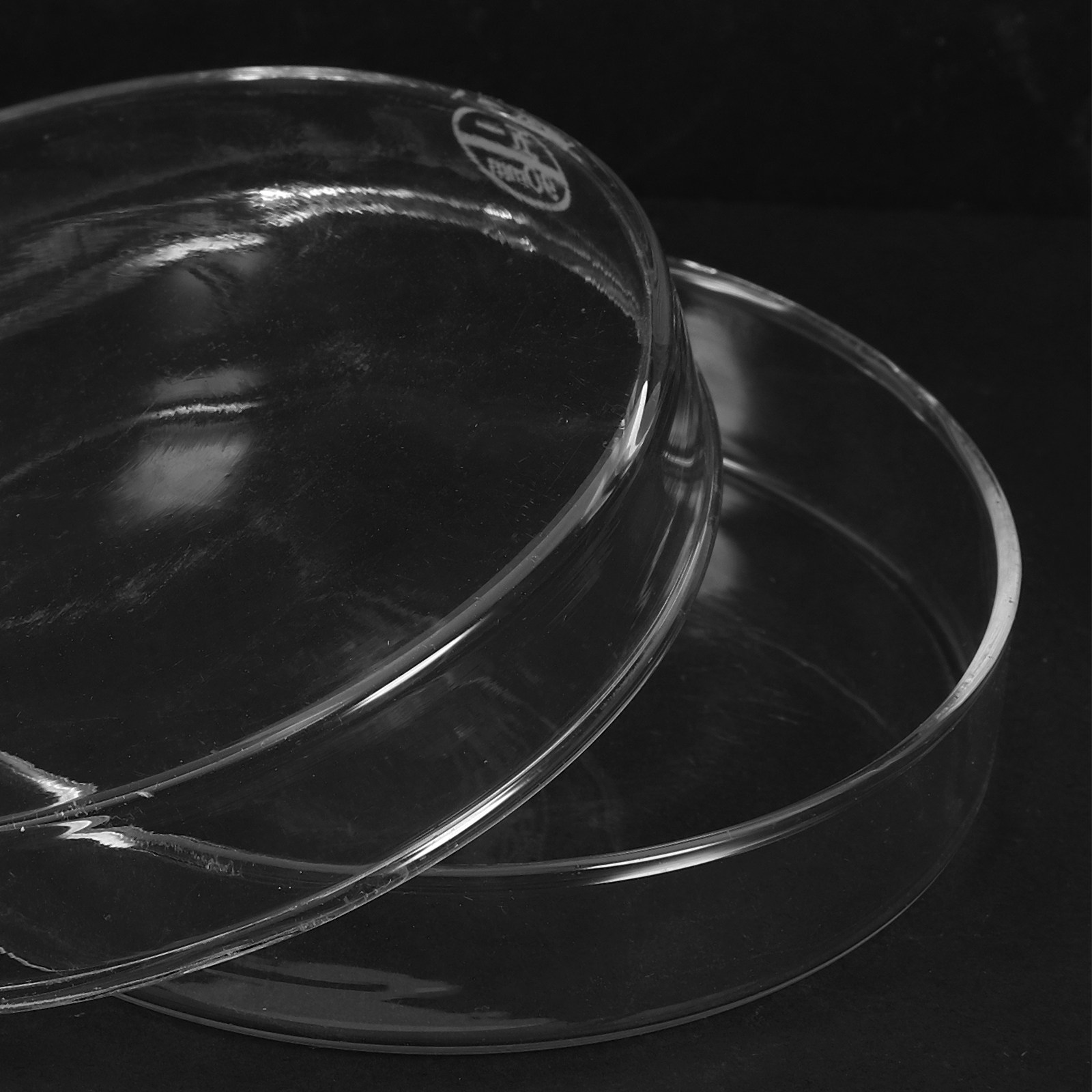 Laboratory Glass Petri Dish Fl – обзор и цена Agar Tissue Culture
