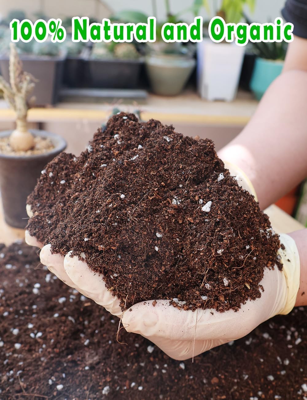 Potting Soil for All Indoor Ho – обзор и цена Coco Perlite Mix