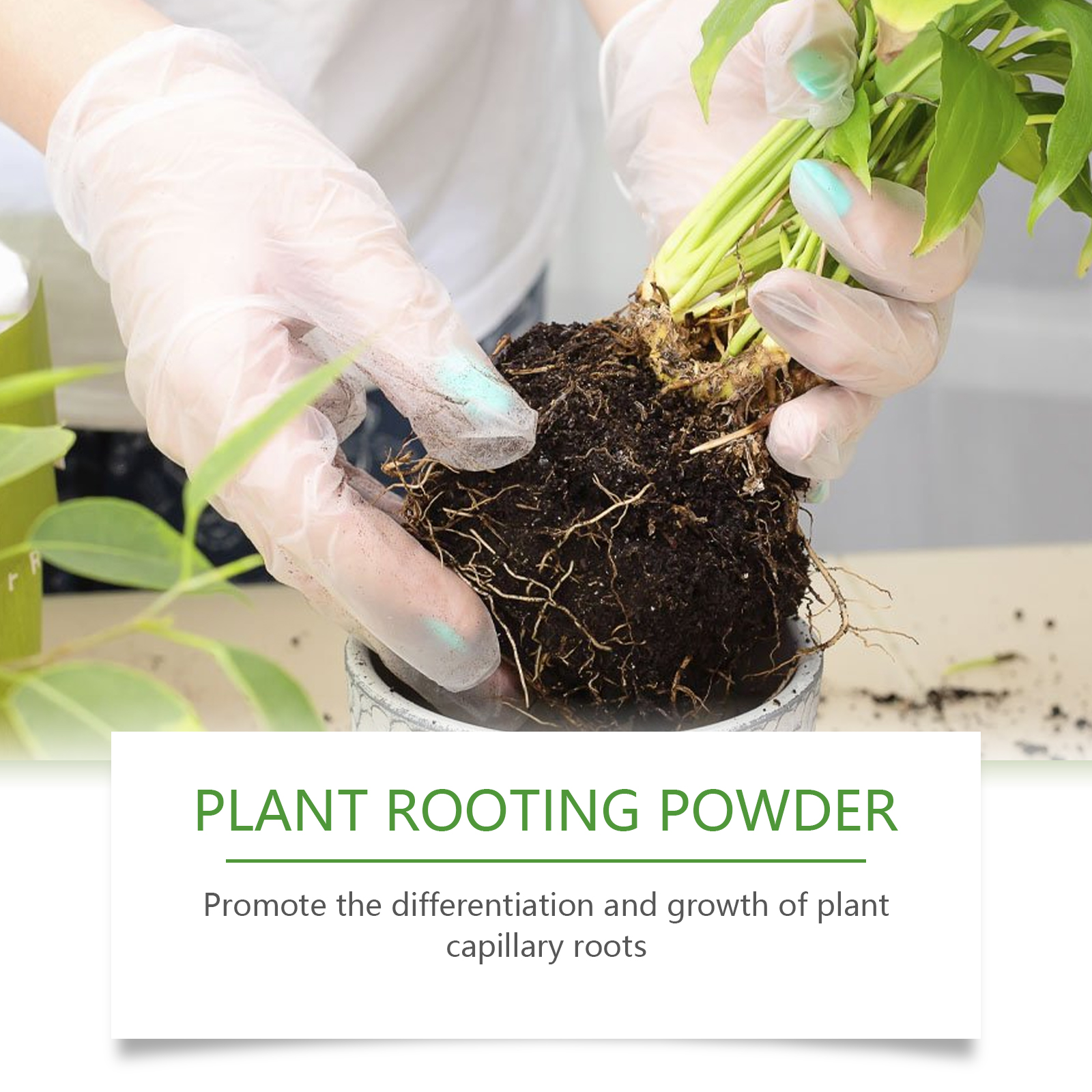 100g Plant Rooting Powder for  – обзор и цена Rooting Hormone Powder