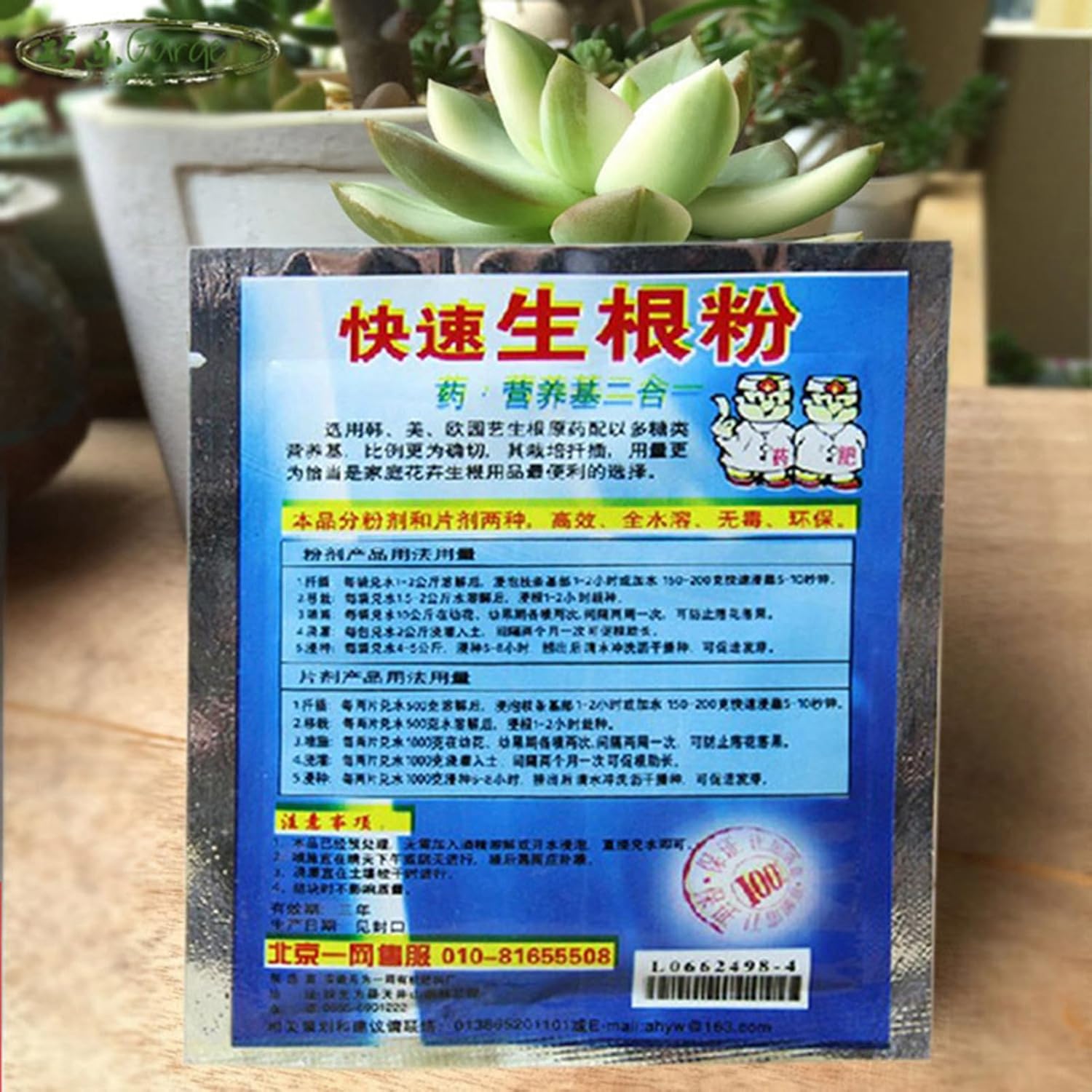 10 Bag 10g Rooting Powder for  – обзор и цена Rooting Hormone Powder