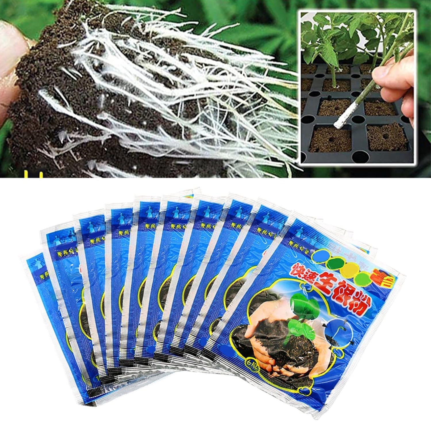 10 Bag 10g Rooting Powder for  – обзор и цена Rooting Hormone Powder