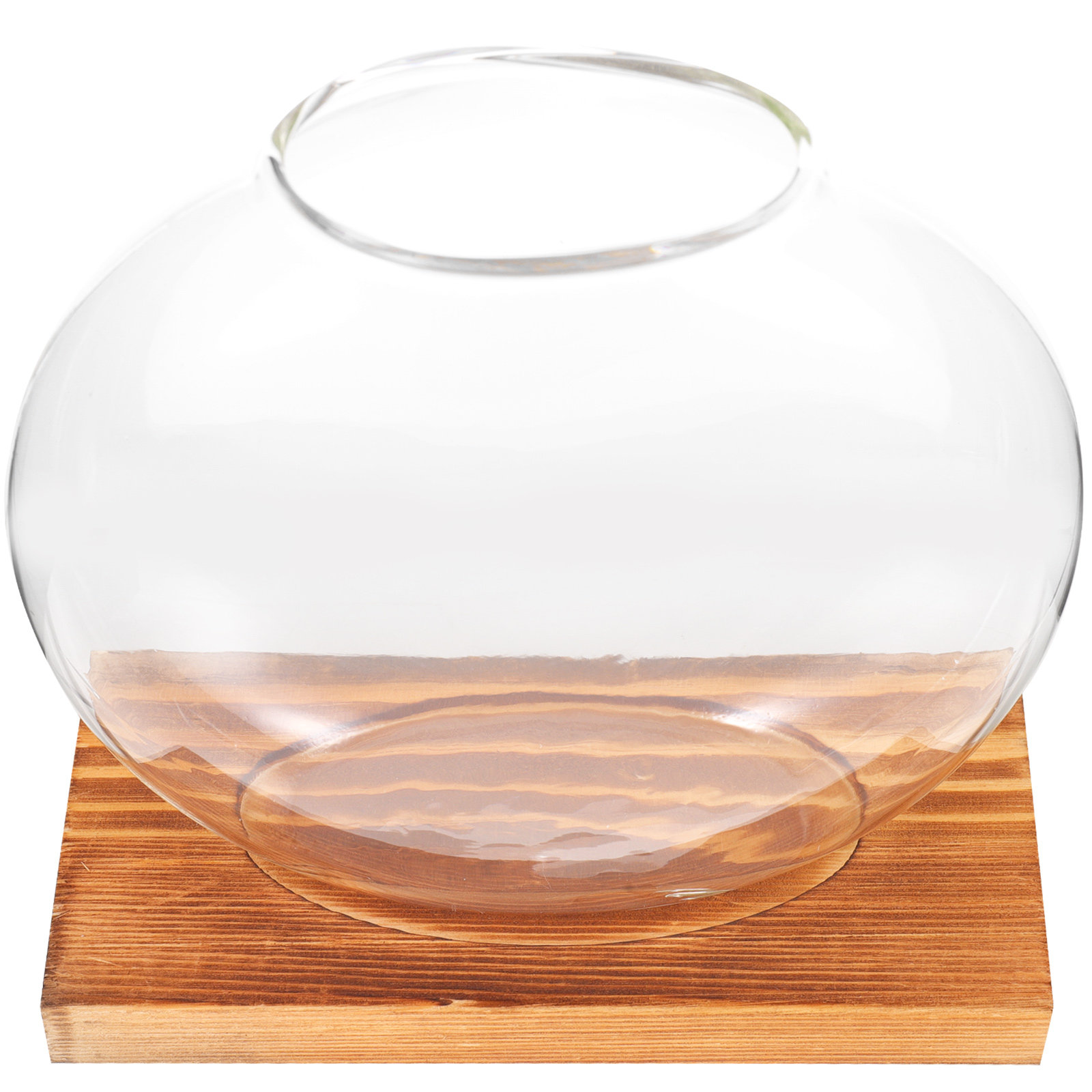 Glass Hydroponic Plant Vase wi – обзор и цена Propagation Station Vase